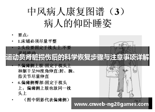 运动员肾脏损伤后的科学恢复步骤与注意事项详解