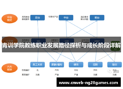 青训学院教练职业发展路径探析与成长阶段详解 青训学院教练职业发展路径探析与成长阶段详解